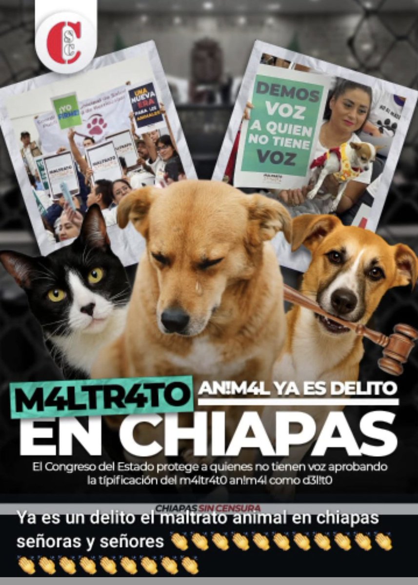 Rita Balboa (@ritagbalboa) on Twitter photo 