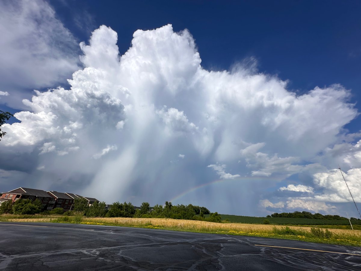 hannah 🕸️ tweet media