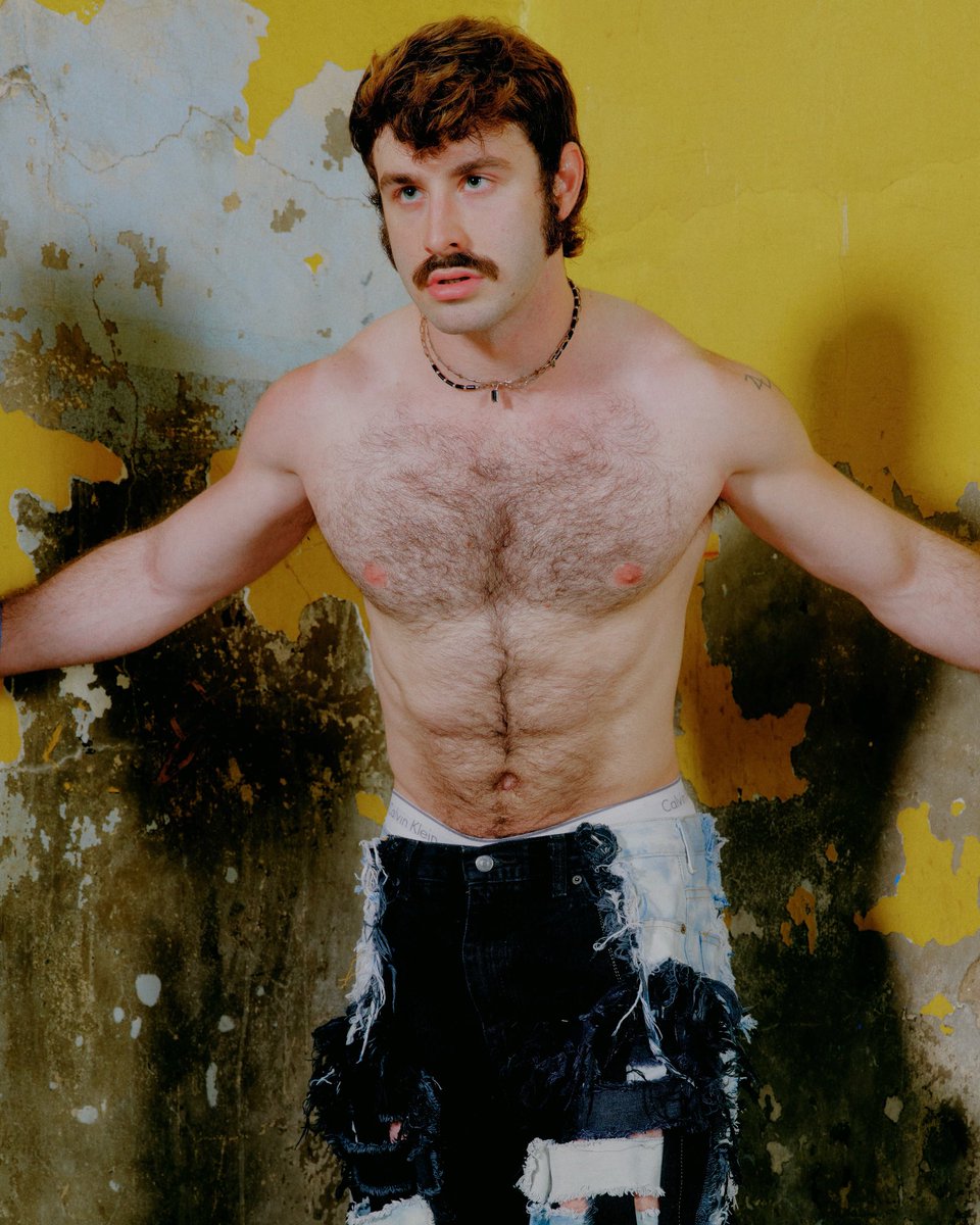 gallipony tweet media