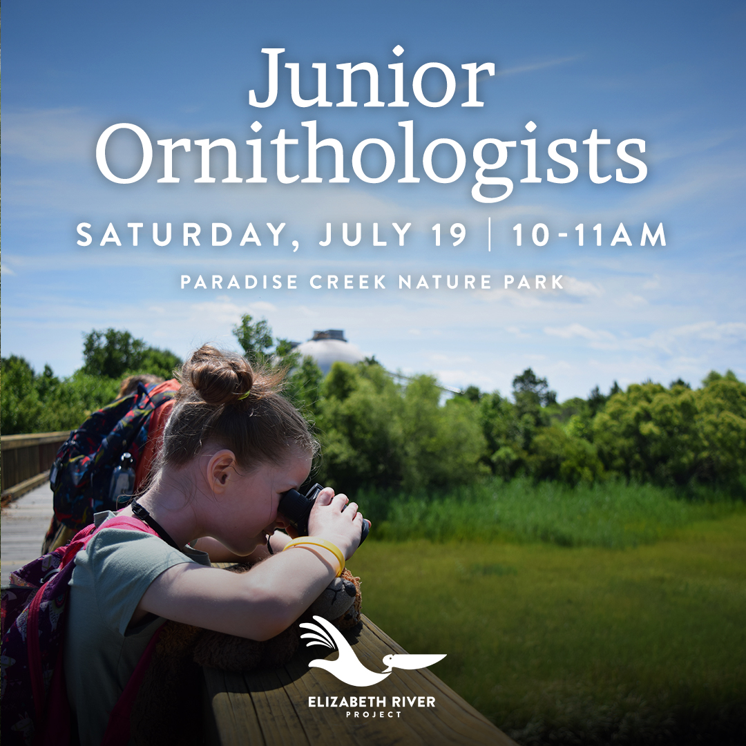 Join us on 7/19 as our educators guide kids ages 5-12 on a bird walk that’s not only educational &amp; packed with fun! This FREE event is perfect for budding ornithologists &amp; nature enthusiasts eager to learn more about our feathered friends. Register today: brnw.ch/21wTIpj