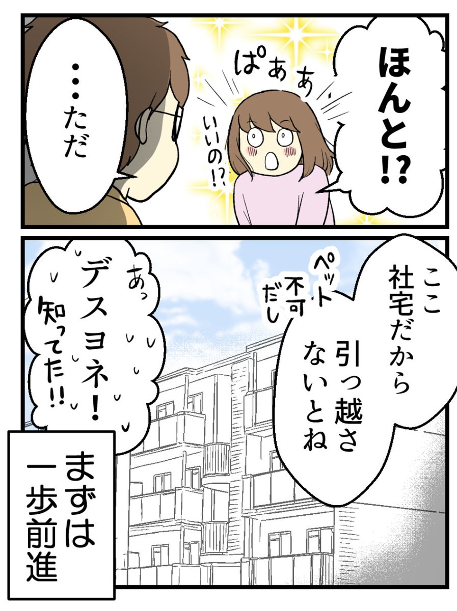 (9/9) 
