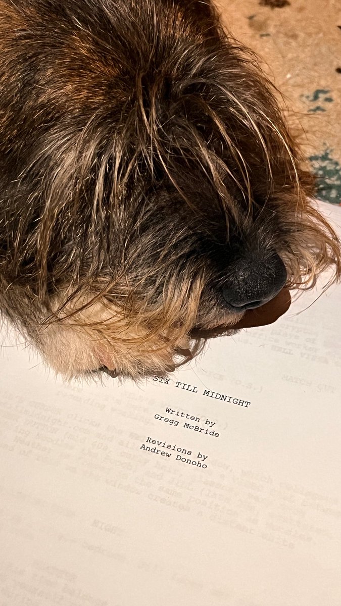 Sasha Lane (@sashabianca23) on Twitter photo 