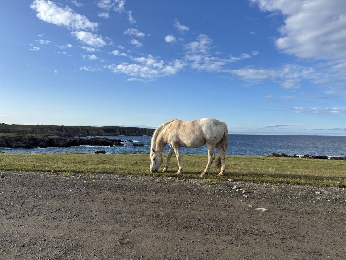 pro Marvel rivals tweet media