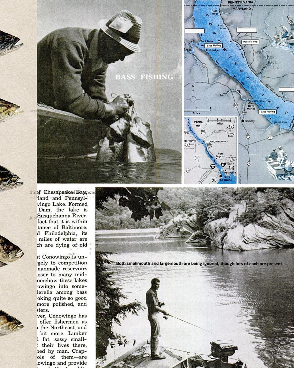 FieldandStream's tweet photo. One thing about us—we’re all about the bass.
Largemouth, smallmouth, spotted, rock... we love ’em all. What’s your favorite to catch?
#FSThrowbackThursday #FieldandStream #BassFishing #Outdoors https://t.co/zcswi2eJAT