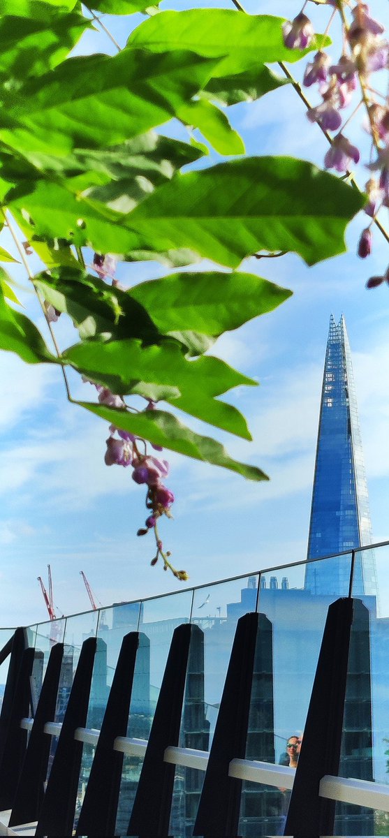 Gert Meijer tweet media