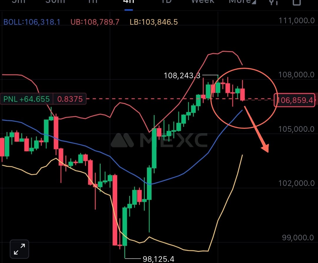 Cryptic Owl tweet media