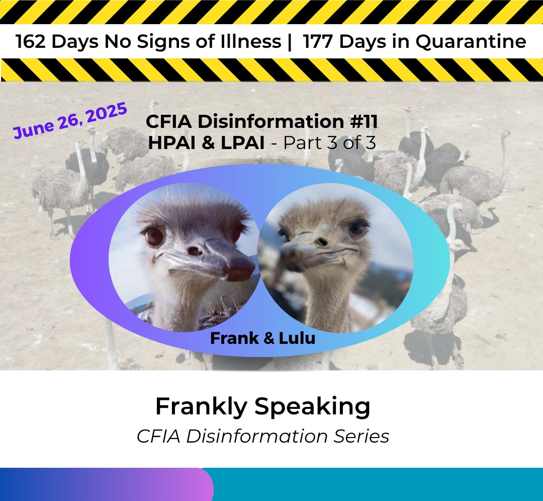 Frankly Speaking, June 26, 2025

Response to CFIA Disinformation #11 Part 3 on HPAI and LPAI:
Allowing a domestic poultry flock known to be exposed to HPAI to remain alive means a potential source of the virus persists.

saveourostriches.com/press-releases…

#saveourostriches