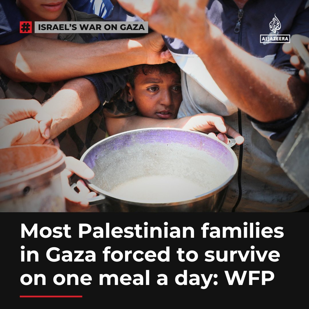 AJEnglish's tweet photo. One-third of Palestinian families in Gaza are going the entire day without eating as a result of Israel’s continued bombardment of the enclave, according to the UN World Food Programme (WFP) and its partners.

🔴 LIVE updates: https://t.co/mCofoAEwbg https://t.co/rM7NyIKEqq