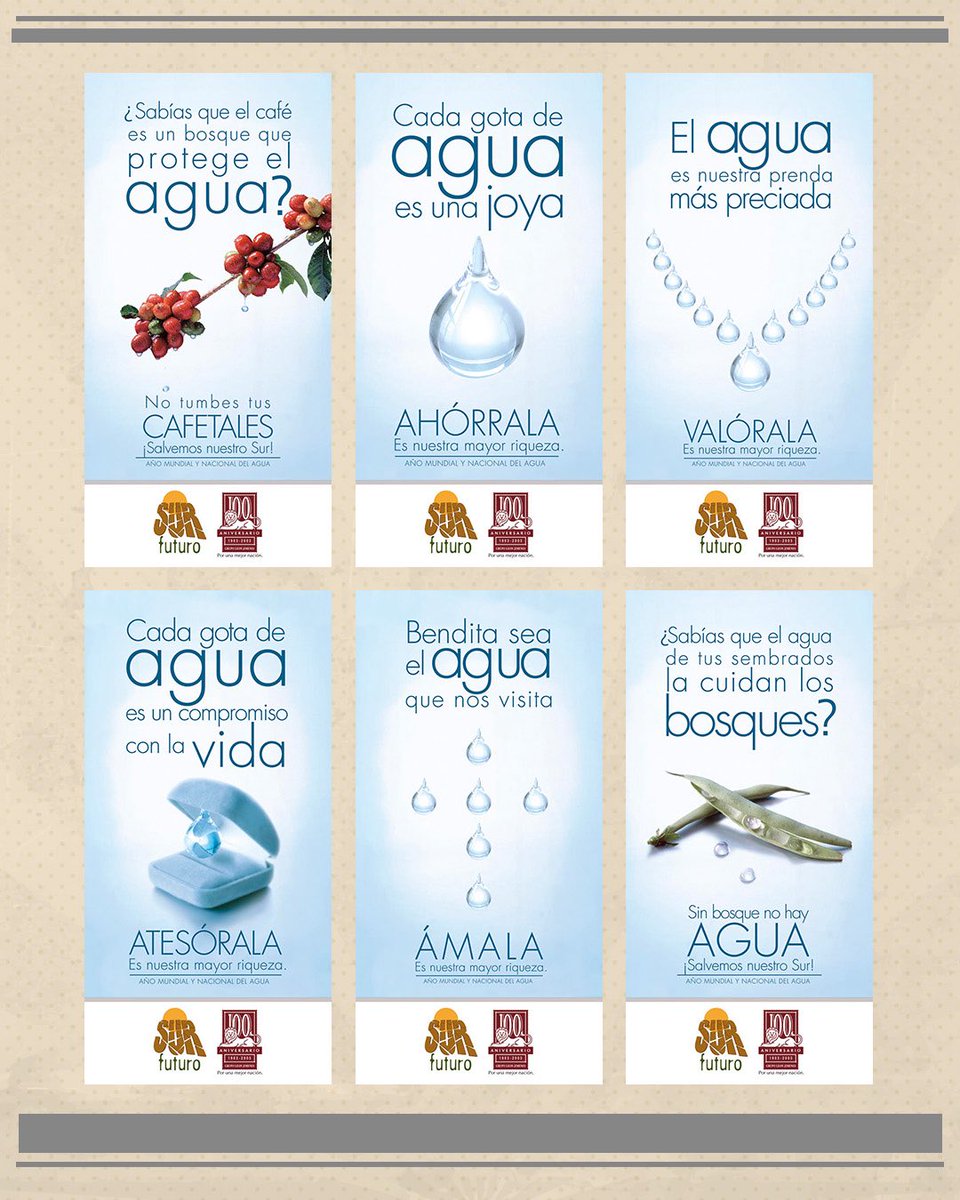 Fundación Sur Futuro tweet media