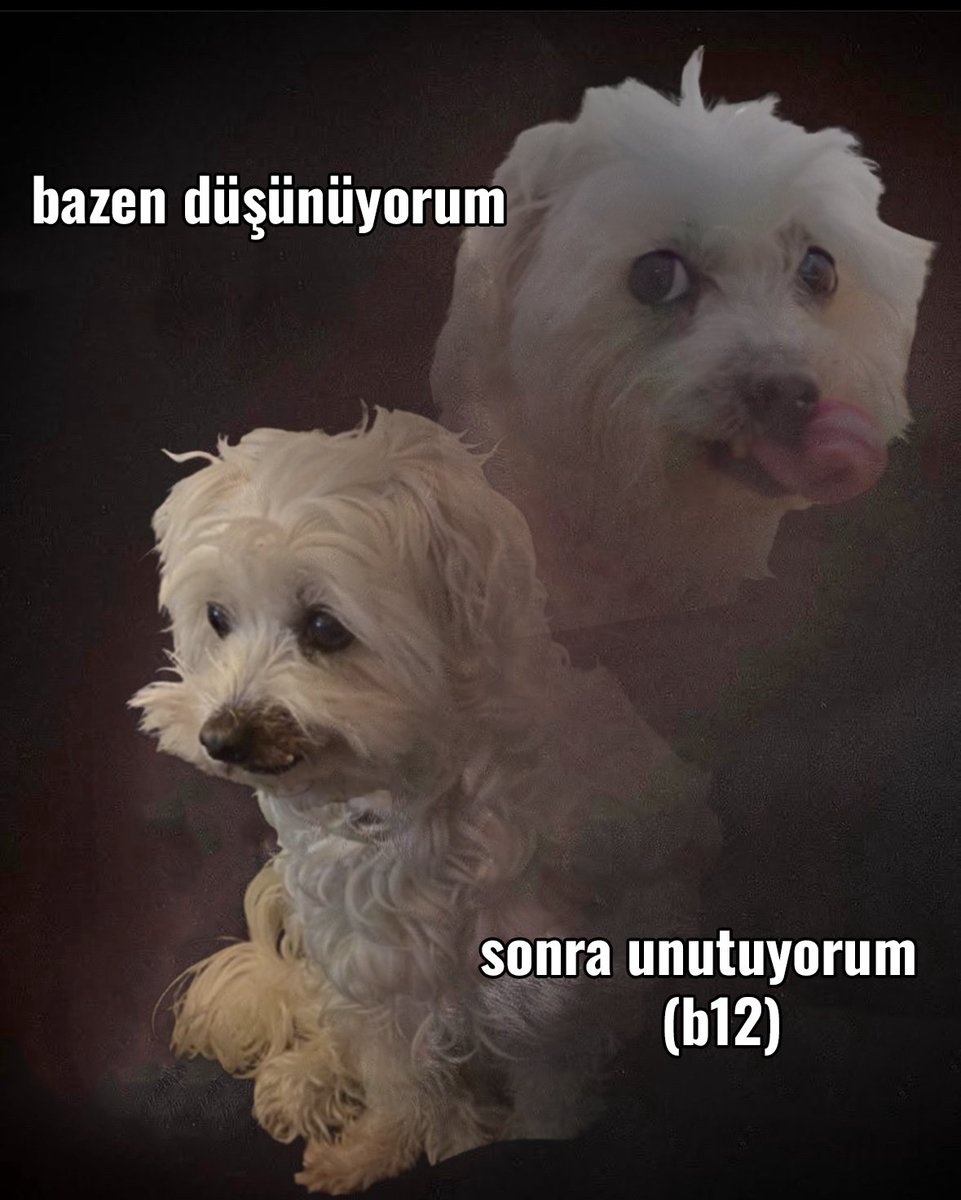 ezgi (@zirtiss) on Twitter photo 