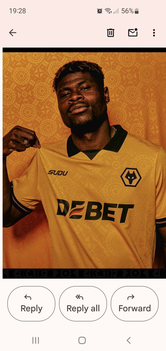 🐺 Dylan The Wolf 🐺 tweet media