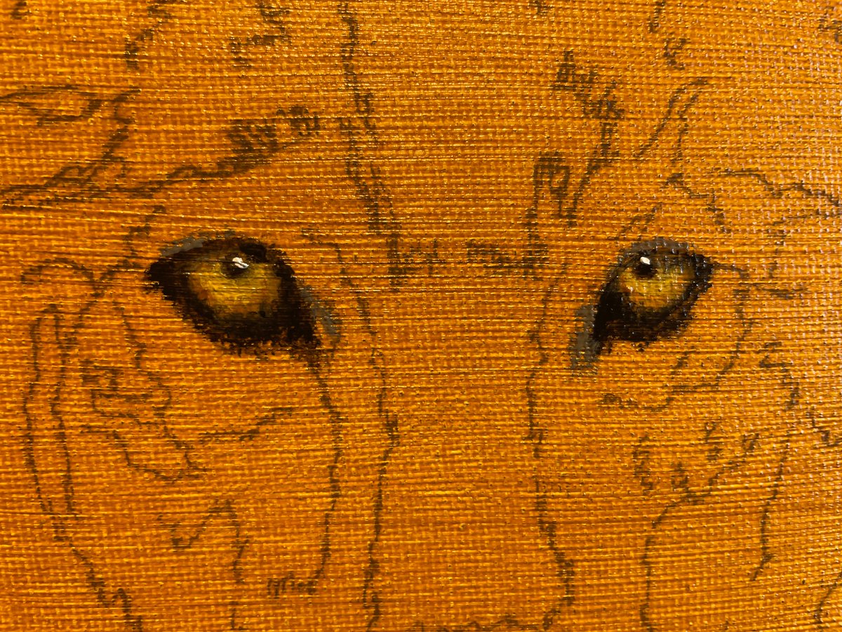 I started a Wolf called Ghost, felt important to do so tonight, as always I start with the eyes. Blend the colours of the Iris, then add the pupil &amp; then breath life with some highlights &amp; whilst I know that these eyes will change later they already hold the essence. To me that’s