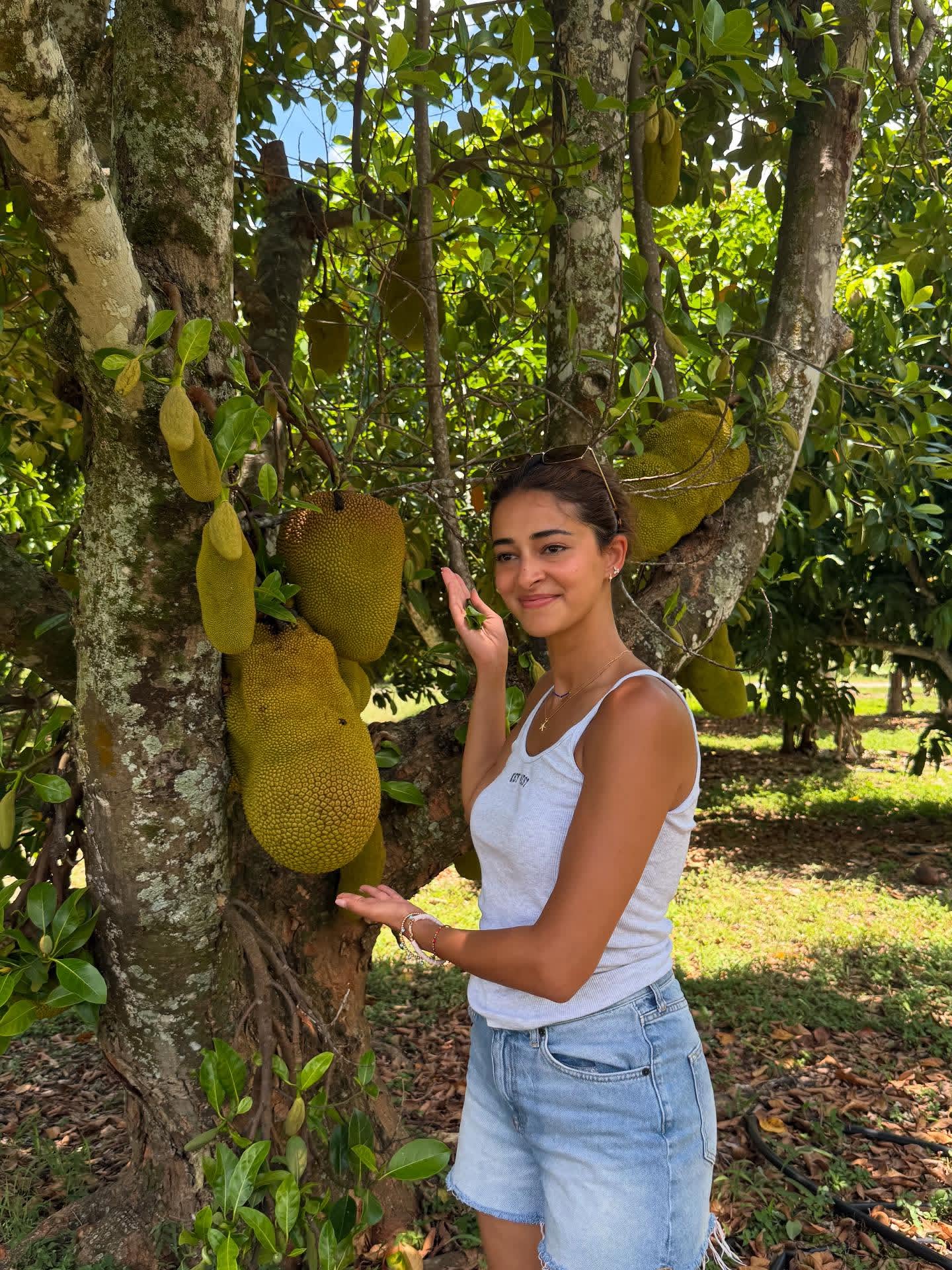 GuZCFRhbAAA9xsS?format=jpg&name=large