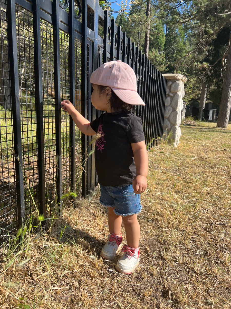 Gilbert Flores tweet media