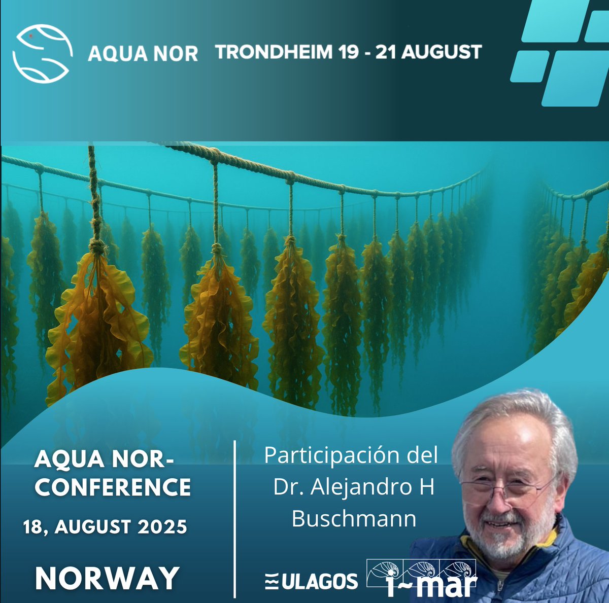 Centro i-mar tweet media