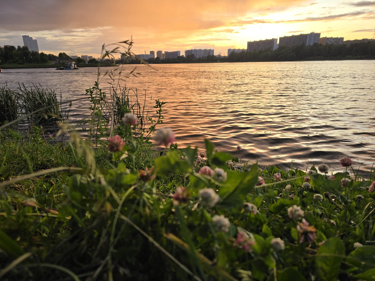 Доброго вечерочка, господин президент (@raoulam) on Twitter photo 