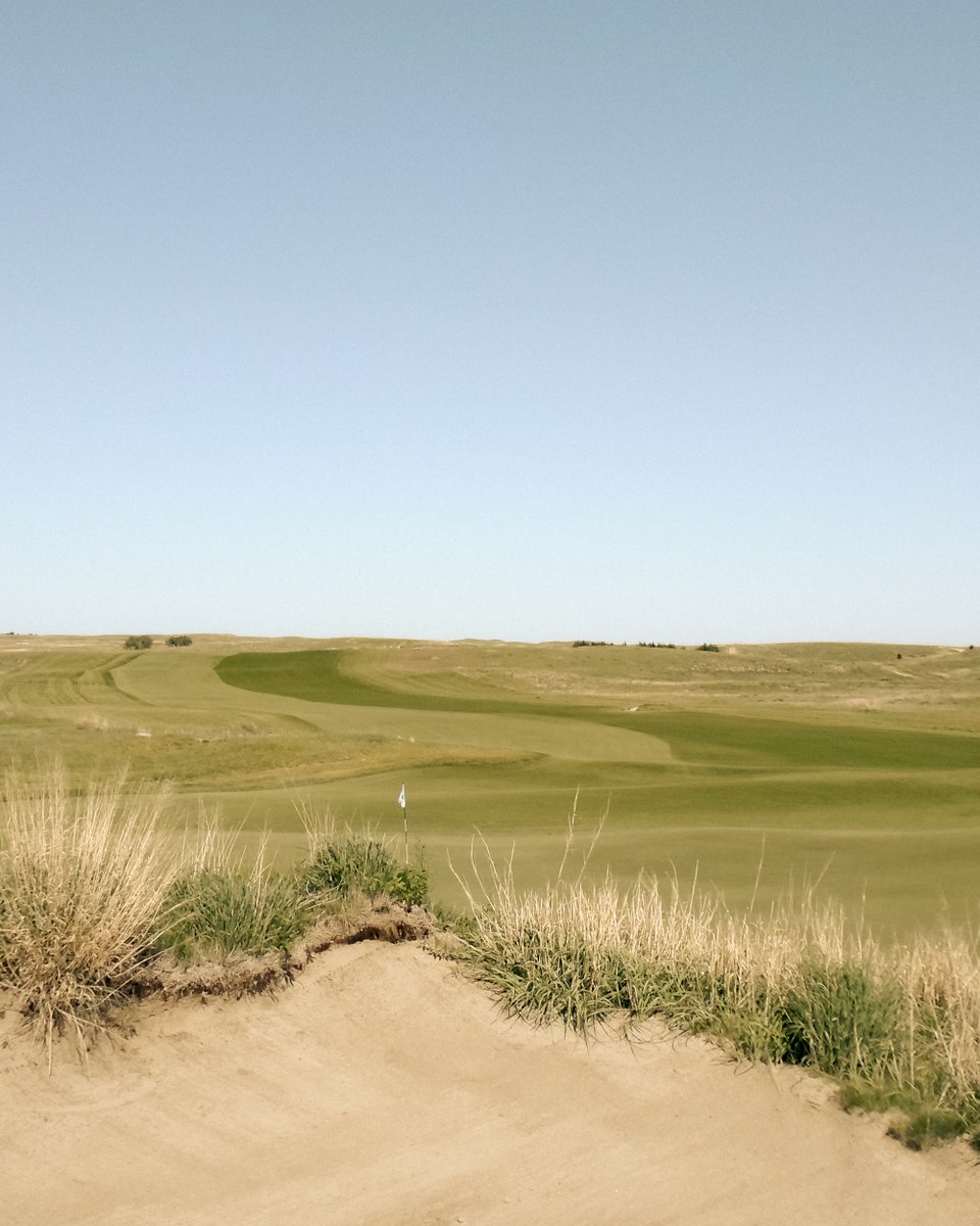 Enjoy the walk.

#Wilson #WilsonGolf