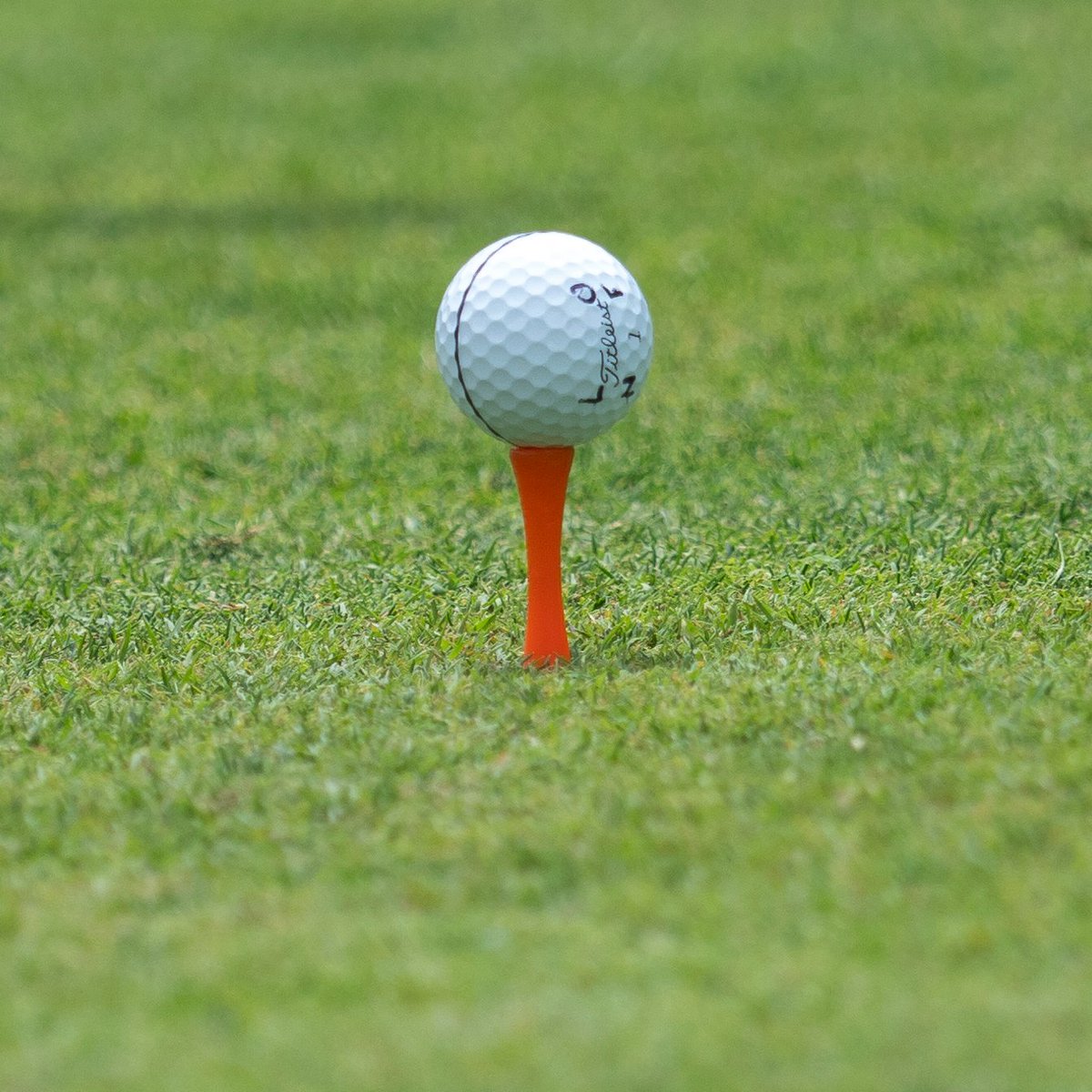 Aaron Rai continues to live @PGATour life like a 20-handicap.

Iron covers, rain gloves and now... castle tees.

#OneOfUs