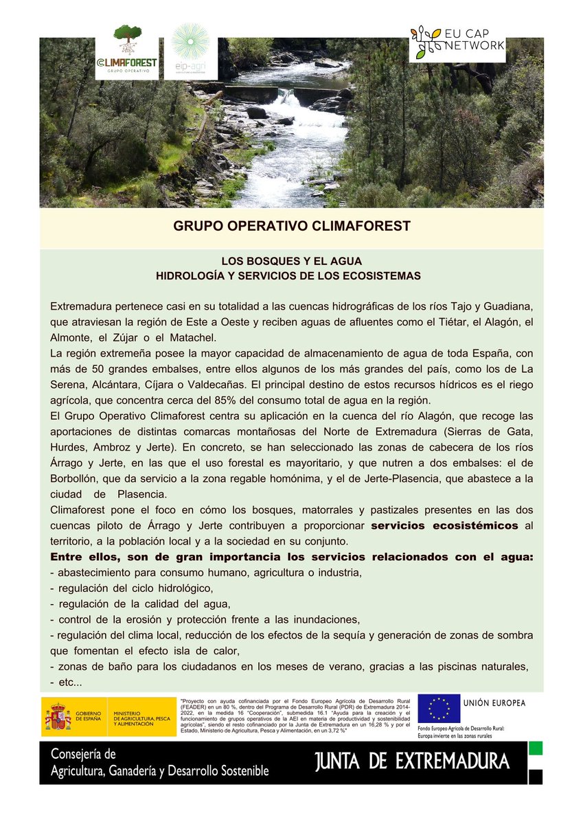 GOClimaforest's tweet image. ¿Sabías que los bosques contribuyen al abastecimiento de agua, mejorando tanto su calidad como su disponibilidad para uso humano, agrícola o industrial?
¡Y mucho mas!
📢📢Nuestro nuevo Fact Sheet. Los #Bosques y el #Agua👉👉