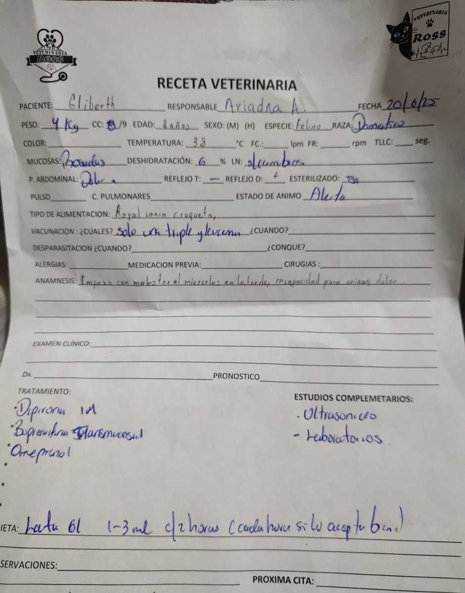 Acabados de salir de la máquina de coser 🪡 Nuevos modelos de monederitos👛 los cuales miden 7 cm × 5 cm Elige tu favorito tan solo $ 60 pesos c/u Amigos quien guste adquirir alguno lo recaudado será para cubrir el costo del taxi para asistir a los Estudios de🧪de Lili 
Gracias