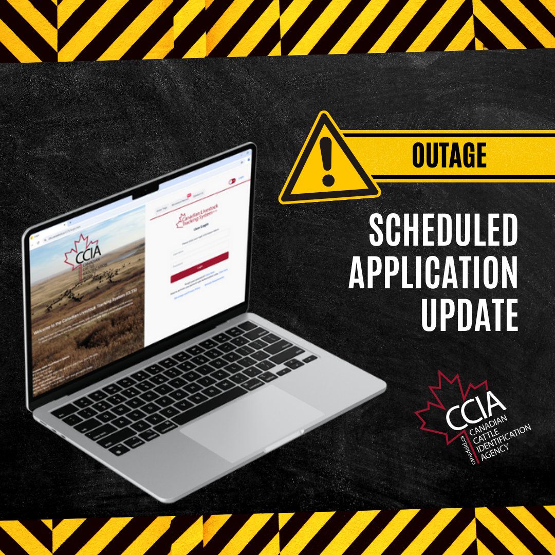 The Canadian Livestock Tracking System (CLTS) will be unavailable Thursday, June 26, from 9 p.m. to 10 p.m. (MDT) due to a scheduled application update. We appreciate your patience and understanding.