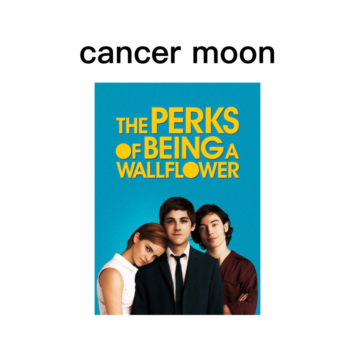 Estefanía Vilardy tweet media