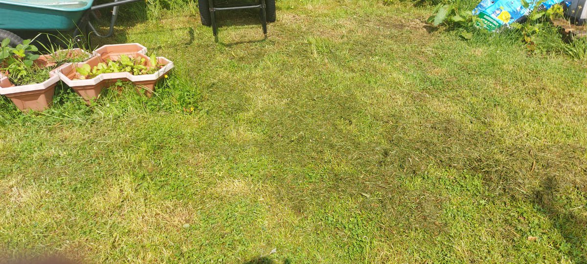 Justice Services tweet media