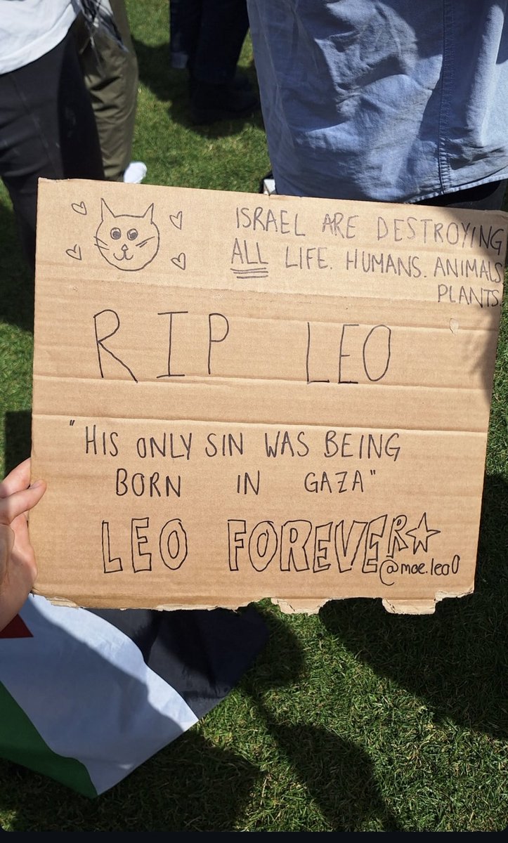Mo7mmd30's tweet photo. Leo isn’t just a cat…
He is an innocent soul, and his only ‘crime’ is being born in Gaza.
Even after his passing, his voice is still reaching the world.
In one of the protests held for Gaza,
a protester is holding up this sign with his name,
writing the truth that many are still choosing to ignore:
The occupation is destroying all forms of life — even the ones that can’t speak.
Leo is staying alive in our hearts… forever.