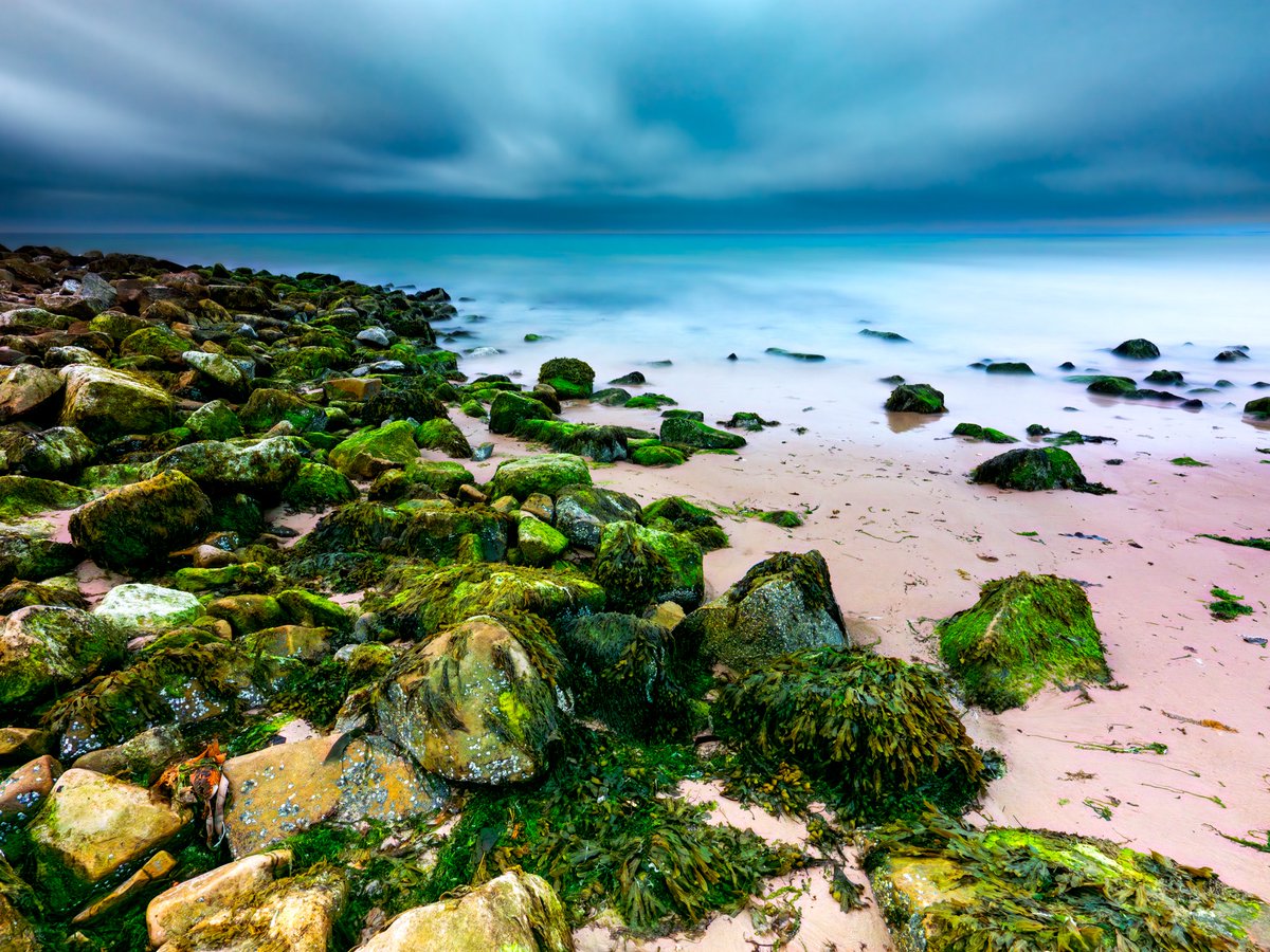 thatseguy's tweet image. The North Sea, Exposure #1 (2025)
Lossiemouth, Scotland