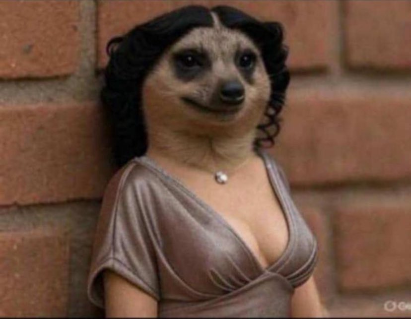 “My babe doesn’t care about other girls”
Side chick: