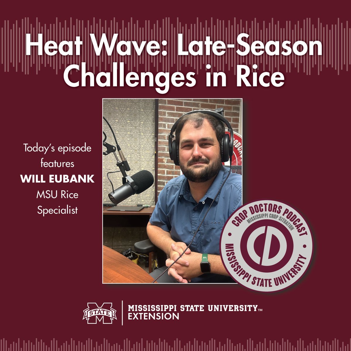 CropdoctorsMs's tweet image. As rice heads toward the finish line, late-season obstacles can threaten yield and quality. Learn more from Will Eubank, MSU Extension rice specialist, in this rice update.
For more episodes from the Crop Doctors, visit our website at extension.msstate.edu/shows/mississi…

#mscrops #MSUext