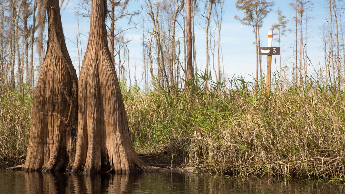 Georgia Conservancy tweet media