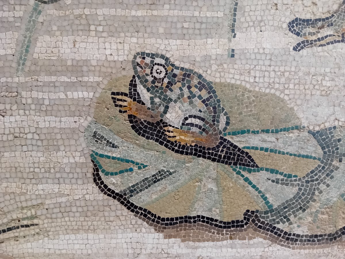 A #Roman mosaic of a frog sitting on a lily-pad #Archaeology #RomanArchaeology #Mosaics