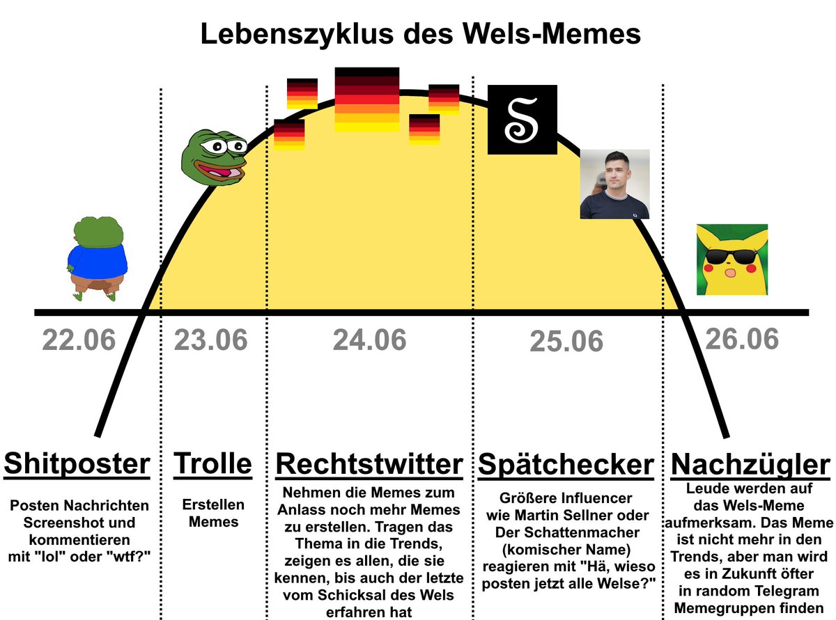 Lebenszyklus des Wels-Memes