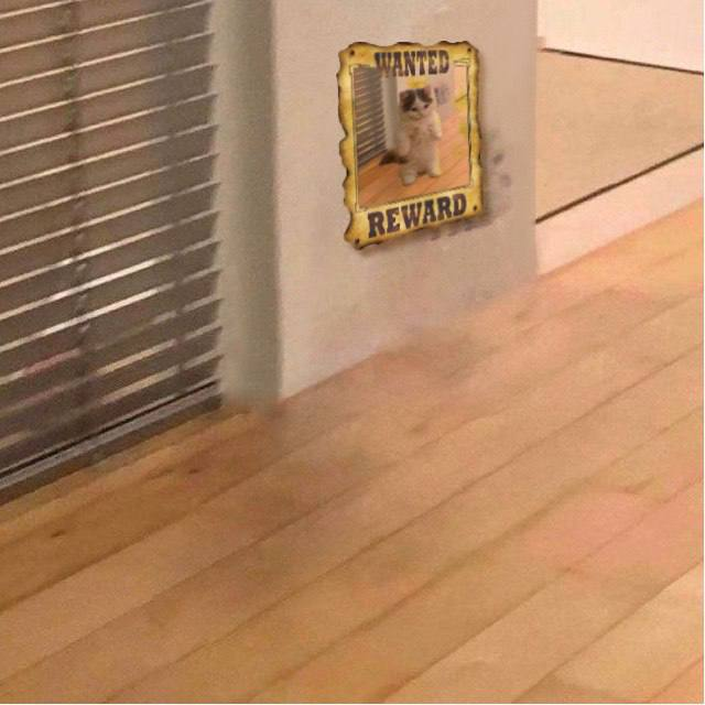 michi (@michionsolana) on Twitter photo 