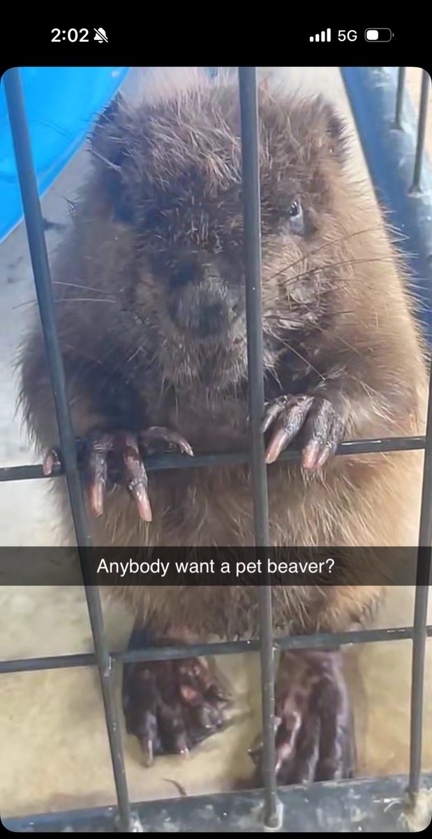 Ben “The Ghost” Mosley tweet media