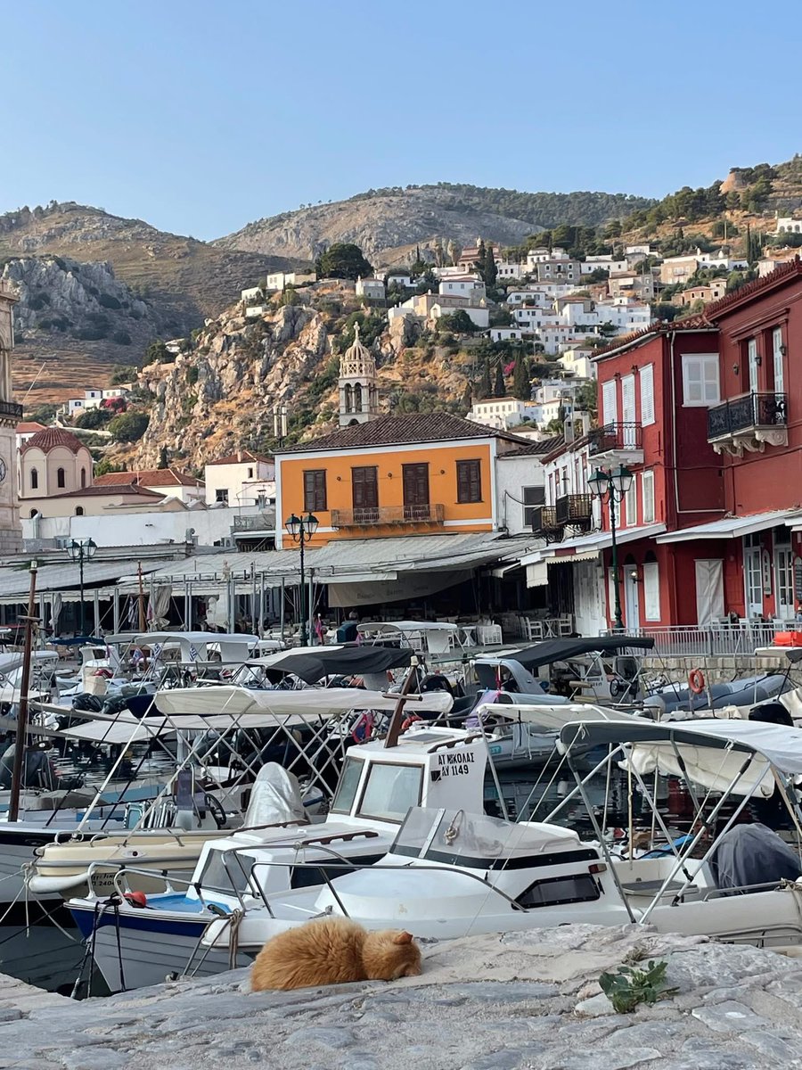 I think that's a wrap 😊

Our #writing #workshop on the #Greek island of #Hydra has just ended. With thanks to my fabulous co-tutor Shelley Kenigsberg and our uber-talented participants for a truly wonderful #retreat!

Oh and a ginger nightlife cat, flaked out in the cool of dawn