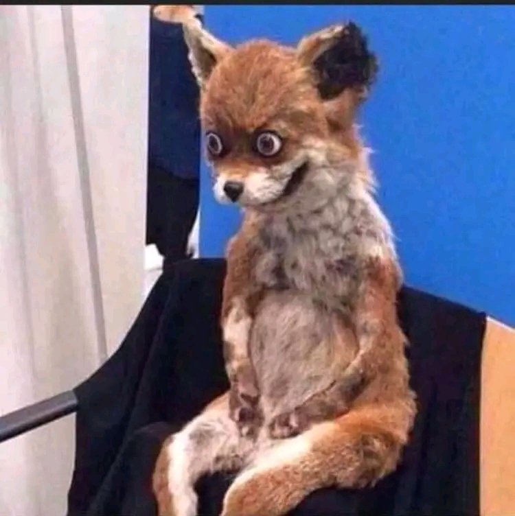 I think he probably thought she was part of the three pigs😂😂😭😭shem mom Neo😹😹..

THE BEST OF SWEET GULUVA
SWEET GULUVA X DSTV
#SweetGuluvaOnDstvAd
#AkhonamathembaZwane