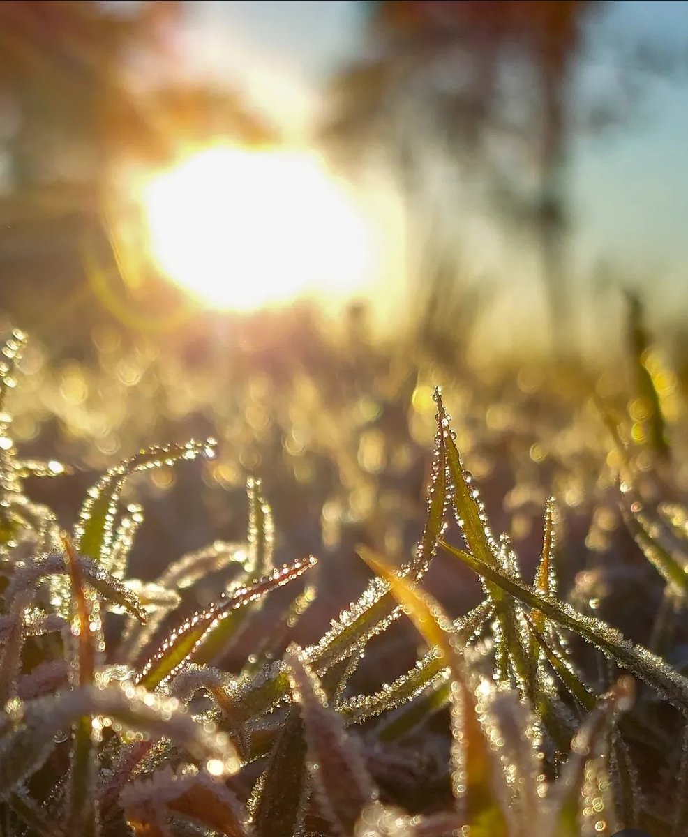 MarceloC61's tweet photo. #MisLetras
Un tenue sol
Calienta la tarde
Algunas aves
Vuelan en el
Horizonte
Sobre la cerca
Unas flores
Abandonan la
Soledad del jardín
Es invierno
Y la fría helada
Matinal
Ha hecho sentir
Su rigor
Ha dejado paso
A otras flores
Si las hay https://t.co/LK7dizVqoV