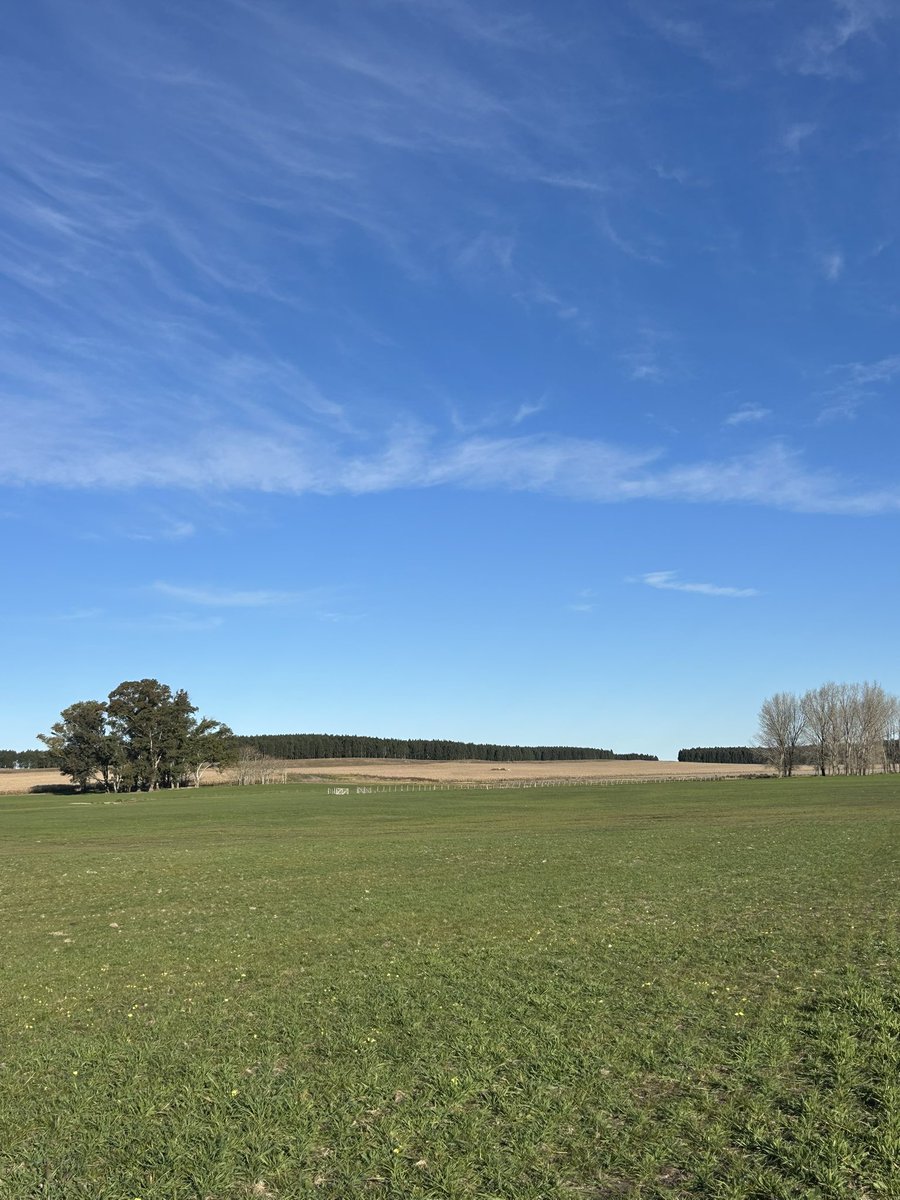 Invierno pero con sol ☀️

📍Flores, Uy