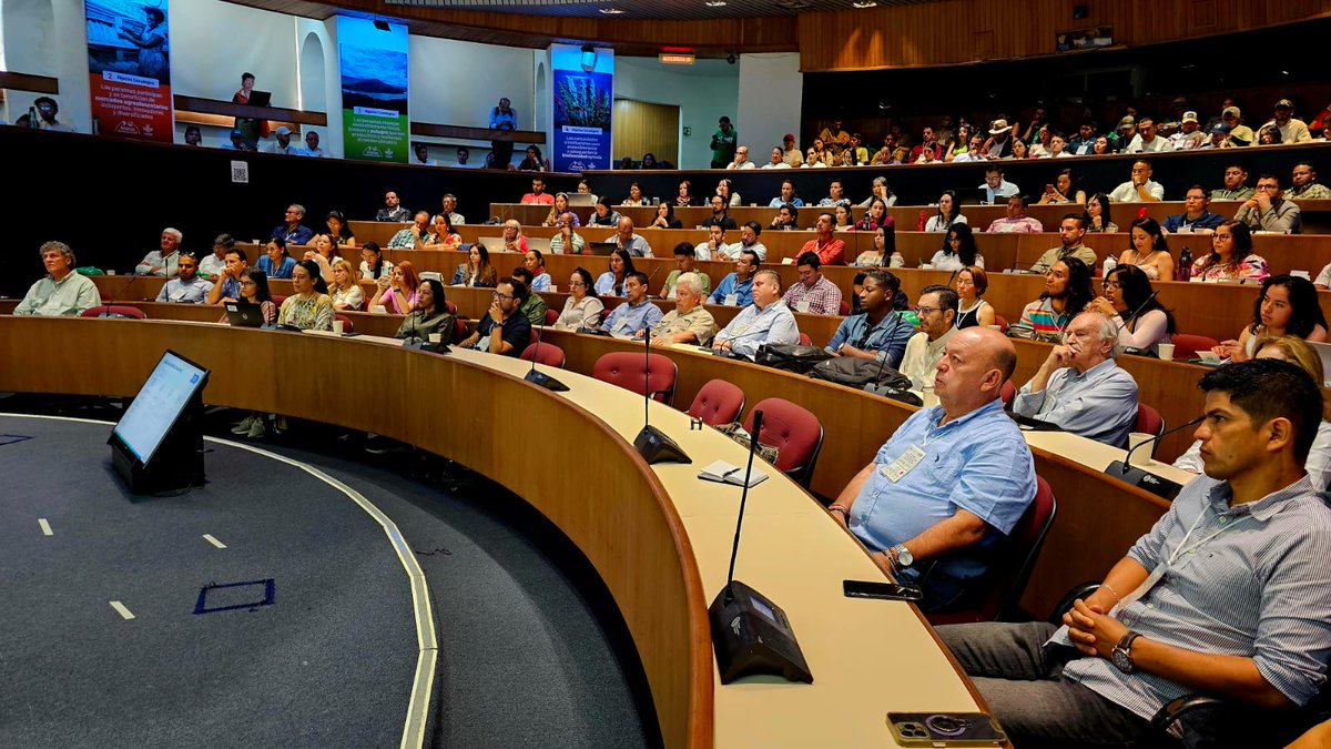 ACOSEMILLAS's tweet image. Nuestro gerente general @LeoarizaR está presente en el XIV Congreso de fitomejoramiento y producción de cultivos en las instalaciones de @cenicana hasta el 27 de junio en el #ValleDelCauca. En el evento están presentes algunos de nuestros afiliados como @SomosAGROSAVIA…