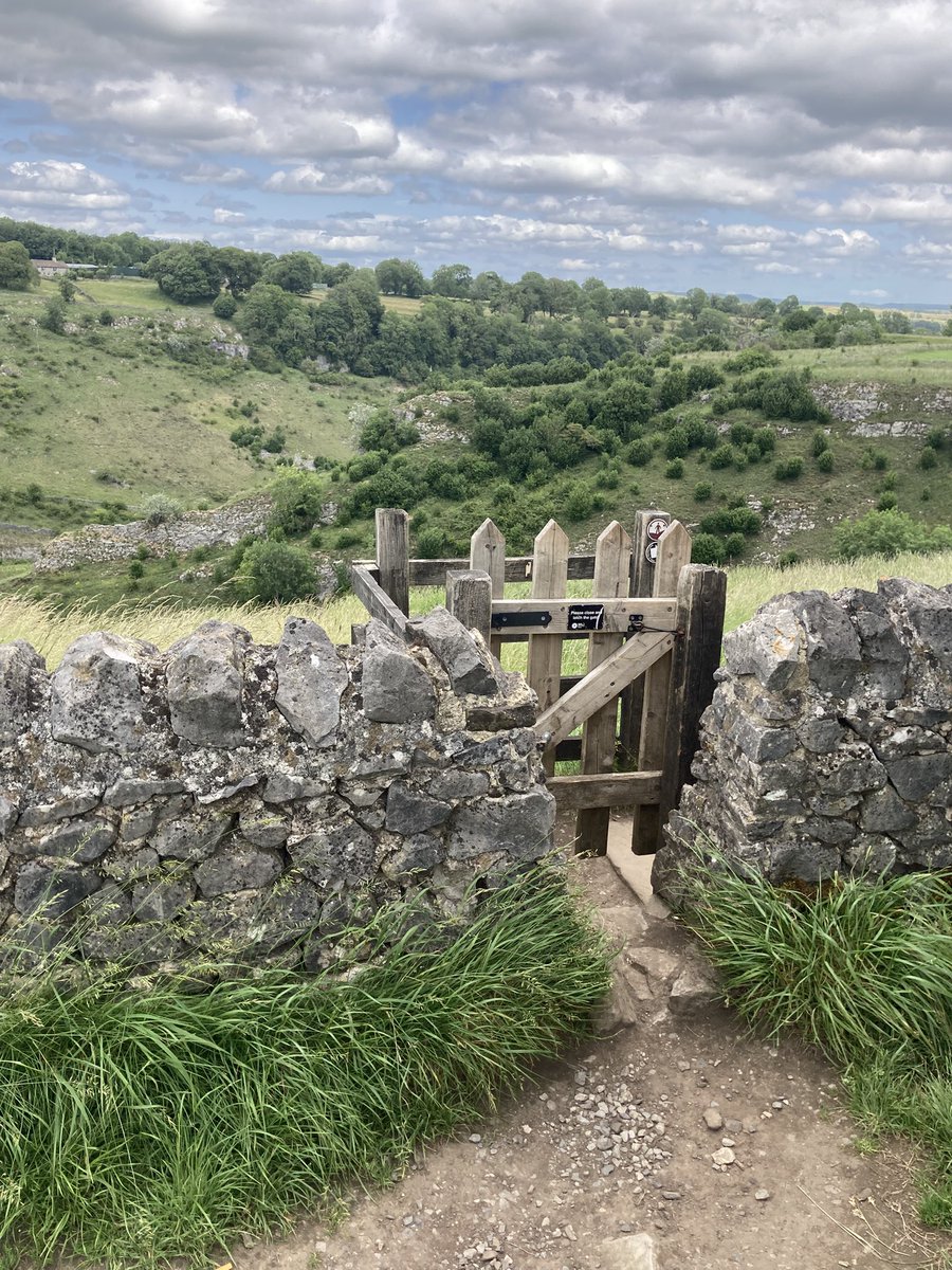 Steve Smallman tweet media