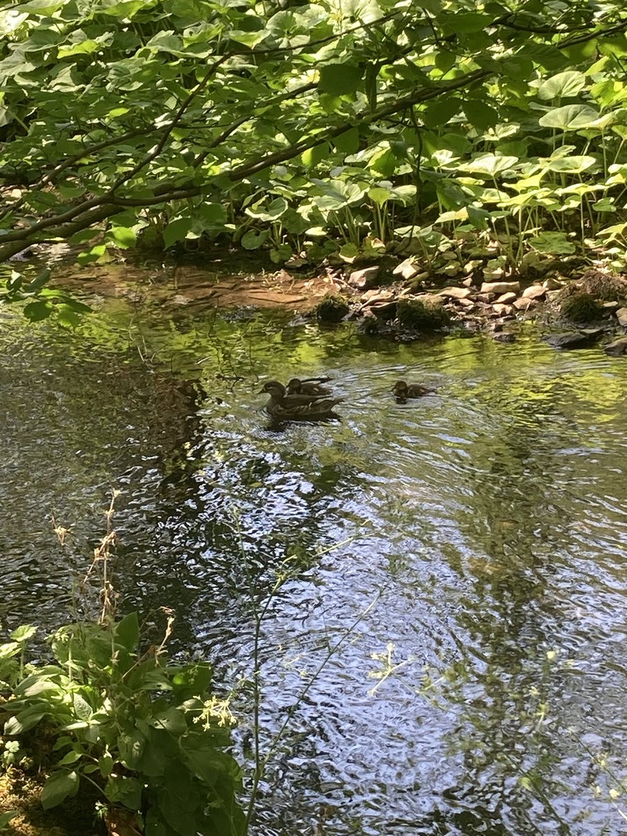 Steve Smallman tweet media