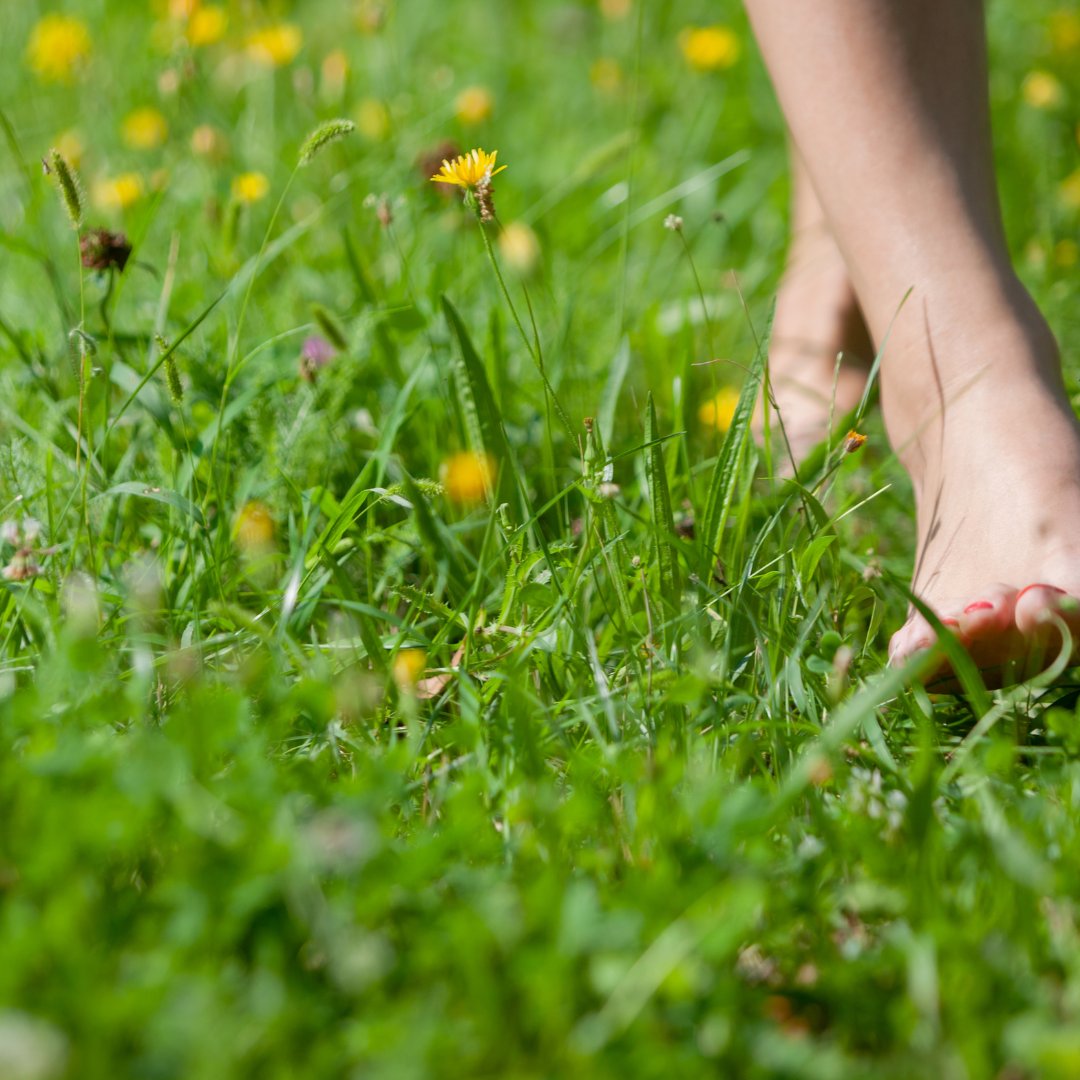 Sunshine, freshly-cut grass, and campfires! Summertime has something for everyone! Whether it’s heading to the beach or dancing barefoot on the grass, it’s the perfect time to get outside! Remember to wear sunscreen and stay hydrated out there!
-
#mentalhealth #summertime #summer
