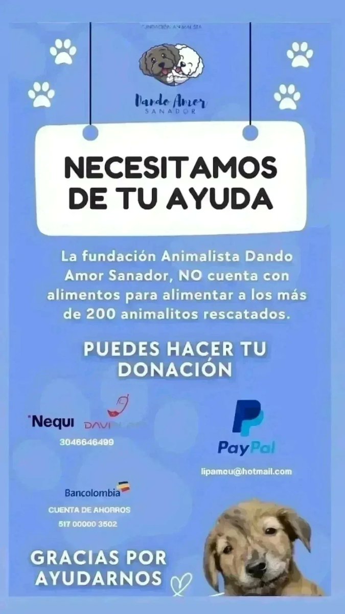 FSanador's tweet photo. *¡Urgente!* Necesitamos tu ayuda para salvar a una perrita rescatada que sufrió quemaduras y una infección con gusanos. Está recibiendo atención médica, pero necesitamos recursos para:
- Pagar su cuenta médica
- Comprar crema cicatrizante Fitoestimulines

*¿Puedes Ayudar?* https://t.co/dZcaTFrMRP