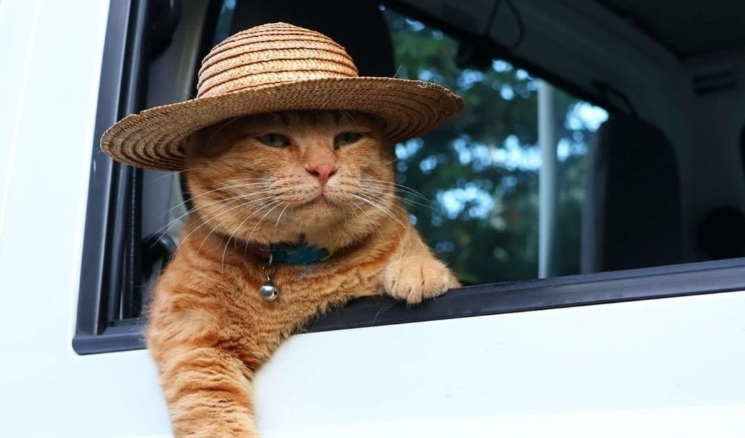 Me on the first date with her: Umekua maandamano mara ngapi?

#SiriNiNumbers