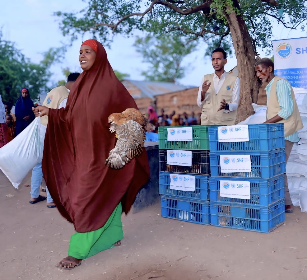 <a href="/PDASomalia/">Peace and Development Action (PDA)</a>  started distributing poultry for the "One Child One Egg Campaign" in the Wanlaweyn District, Lower Shabelle region, in June 2025. Each household receives 2 pullets &amp; 10 kg of concentrated feed as part of the nutrition project funded by <a href="/shf_somalia/">Somalia Humanitarian Fund</a>.  <a href="/Nutrition_Som/">NutritionCluster Som</a>