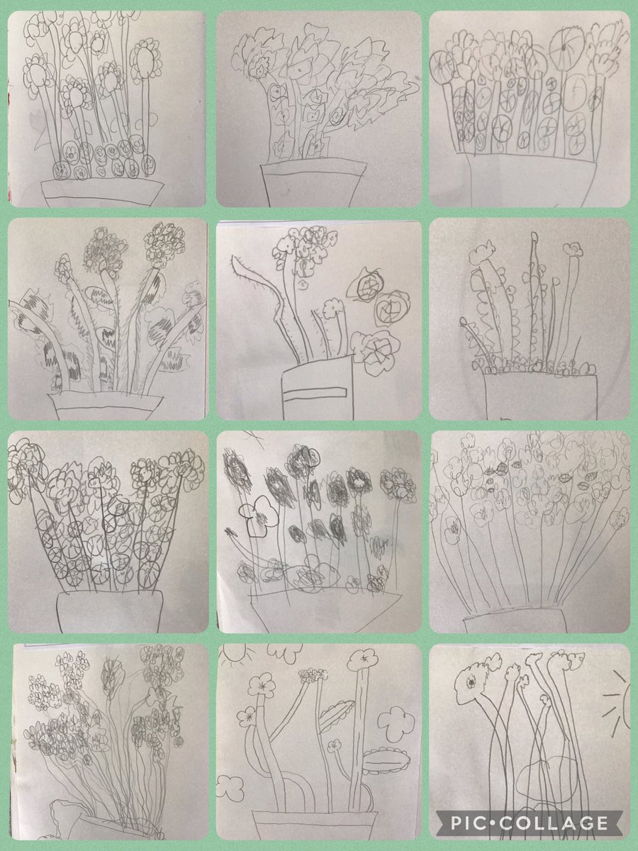 Overchurch6's tweet photo. In #overchurchscience today, we have been looking carefully at some plants and thinking about their parts. We did some beautiful observational drawings in our #overchurchart sketchbooks… https://t.co/kck8Ioi5tP