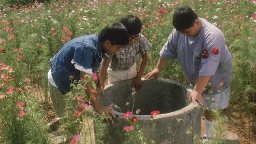 Jviens de voir Jardin d’été de Shinji Somai au ciné merci pr tout, je vais acheter une pastèque et planter des cosmos très vite