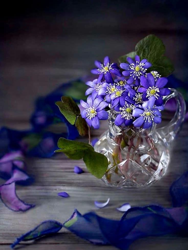 Maria Hos tweet media